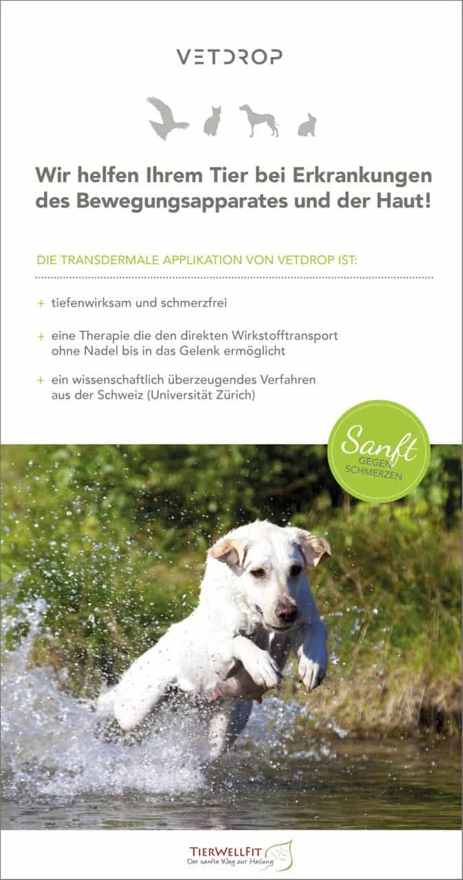 Was?Wo?Finden!Tierwellfit Tierwellfit Sanfte Therapie & Heilung für Hunde Katzen Heimtiere