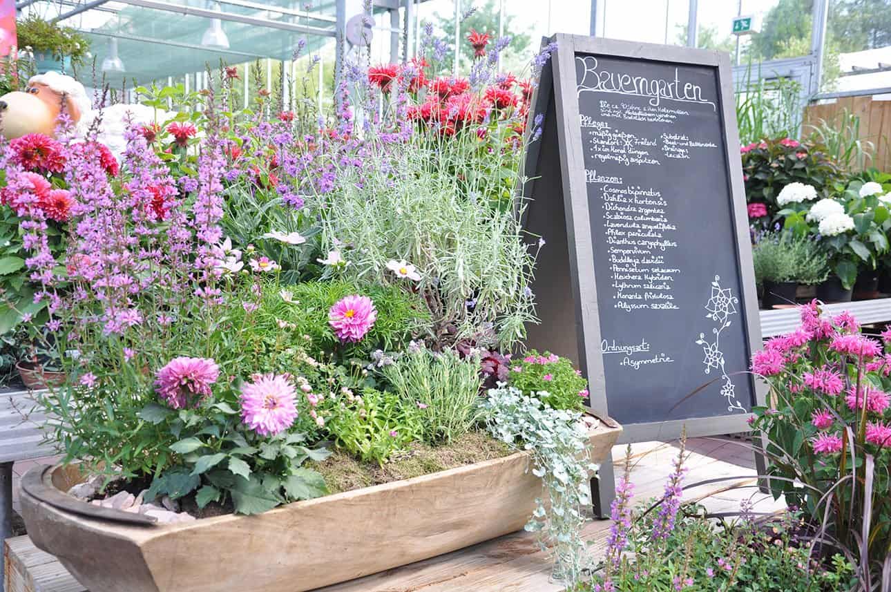 Bauerngarten Nordheide - Blumen Buschmann