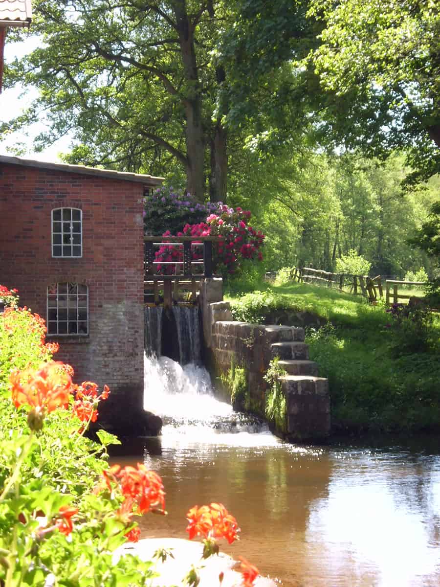 Alte Wassermühle mit Wasserlauf und Rhododendren