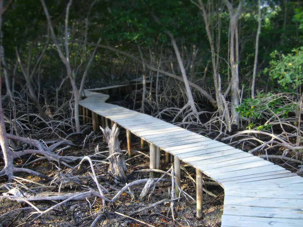 Paartherapie in der Nordheide - Siuts Beratung