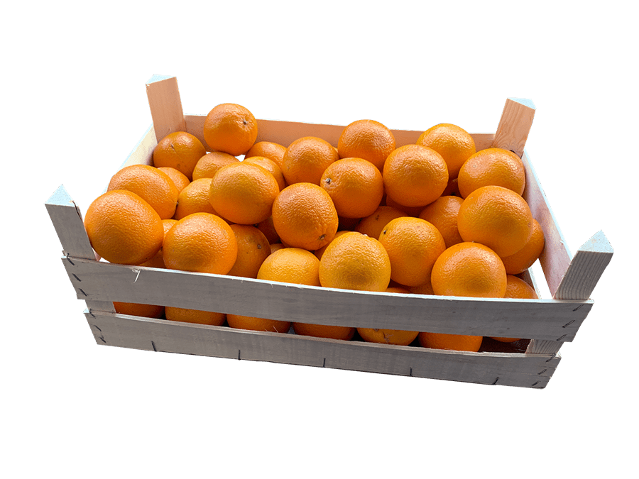 Orangenkiste im Lieferservice Saftorangen 15 kg