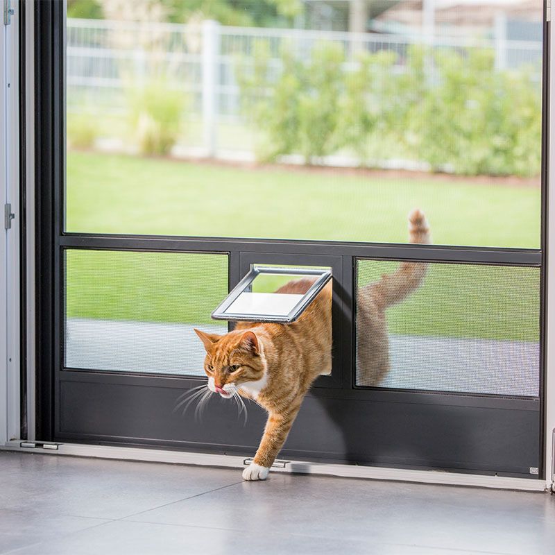 Katze geht durch Haustierklappe bei einer Insektenschutztuer