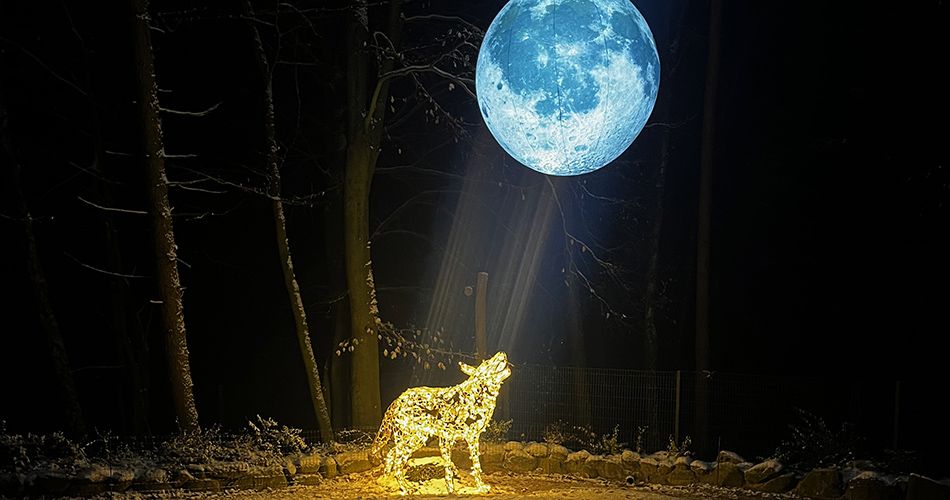 Eine beleuchtete Wolfsskulptur steht im Lichtschein einer strahlenden Weltlkugel
