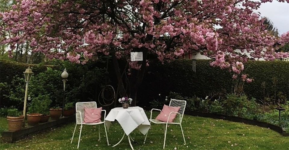Sitzplaetze in Hardys Garten